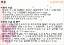 [법제] 노인복지법과 장애인복지법 42페이지