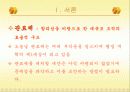 한국 관료제의 문제점과 구체적 해결방안 4페이지