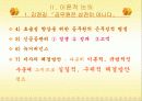 한국 관료제의 문제점과 구체적 해결방안 7페이지