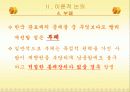 한국 관료제의 문제점과 구체적 해결방안 14페이지