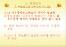 한국 관료제의 문제점과 구체적 해결방안 19페이지