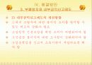 한국 관료제의 문제점과 구체적 해결방안 21페이지
