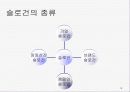 대중매체 방송 광고언어 분석, 특징 12페이지