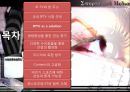 스포츠와 미디어 IPTV 문제점 및 현황  3페이지