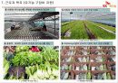 노사 갈등 해결 성공 사례 발표 SK 케미칼 56페이지