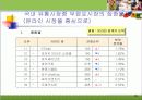 국내 건강식품 시장 전략(분석, 경영, 마케팅, 건강, 식품) 32페이지
