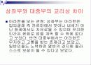 불교란 무엇인가(정의, 개념, 역사, 초기, 불교, 부파, 대중, 불교, 밀교, 의의) 18페이지