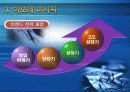 브랜드 자산관리 사례분석(성공 사례, 실패 사례)아모레퍼시픽, 애니콜, 인텔, 폭스바겐, 스테이크 소스) 10페이지