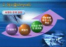 브랜드 자산관리 사례분석(성공 사례, 실패 사례)아모레퍼시픽, 애니콜, 인텔, 폭스바겐, 스테이크 소스) 16페이지