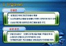 브랜드 자산관리 사례분석(성공 사례, 실패 사례)아모레퍼시픽, 애니콜, 인텔, 폭스바겐, 스테이크 소스) 20페이지