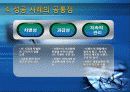 브랜드 자산관리 사례분석(성공 사례, 실패 사례)아모레퍼시픽, 애니콜, 인텔, 폭스바겐, 스테이크 소스) 22페이지