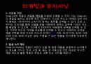 프랜차이징 성공 전략 사례(세븐일레븐, 맥도날드, 스냅 온, 경영, 마케팅, 유통, 구조, 체계, 분석, 마케팅, 성공, 실패, 케이스) 11페이지