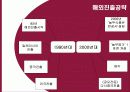 프랜차이징 국내, 국외 사례, 장단점, 놀부, 뚜레쥬르, 맥도날드(장점, 단점, 경영, 전략, 마케팅, 성공, 실패, 사례, 분석, 프랜차이즈) 8페이지