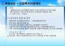 한국 사회복지 현황, 구조, 정책, 변화(현주소, 구조, 체계) 30페이지