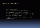 국내 뮤지컬 산업의 발전 방향 모색 역사, 현황, 문제점, 대안 Musical Industry(한국, 뮤지컬, 산업, 시장, 발전, 방향, 연극, 영화, 공연) 12페이지