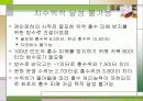 4대강 문제점(경인운하 실태 고발) 11페이지