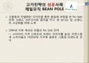 가격 침투전략과 고가전략의 성공과 실패사례(가격, 침투, 전략, 고가, 전략, 성공, 실패, 마케팅, 사례, 미샤, 렉서스, 빈폴, 아베크롬비앤비치, 케이스) 15페이지