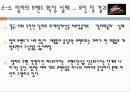 브랜드 확장 성공 사례, 실패 사례(니베아, 놀부, 애플, 코카콜라, 밀러, HP) 40페이지