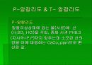 알칼리도 9페이지
