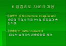 알칼리도 32페이지