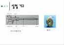 선운동량 보존 9페이지
