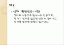 산화 ∙ 환원 반응 3페이지