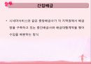 한국영화산업의 배급, 전망, 현황, 문제점, 대안 17페이지
