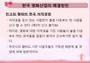 한국영화산업의 배급, 전망, 현황, 문제점, 대안 42페이지