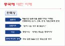 중국의 경제 문화적 환경 분석 및 중국 진출에 실패한 기업, 성공한 기업 경영 사례(롯데리아, 세원텔레콤, 애니콜, 오리온 동양제과) 11페이지