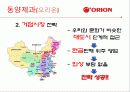 중국의 경제 문화적 환경 분석 및 중국 진출에 실패한 기업, 성공한 기업 경영 사례(롯데리아, 세원텔레콤, 애니콜, 오리온 동양제과) 48페이지