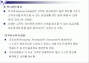 [경제,경영]인터넷마케팅 29페이지