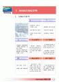Eye On 일본 진출 전략 14페이지