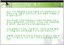 [무역통계 최종발표] 이동전화 시장 점유율 - 전체시장 점유율과 계명대학생의 비율 22페이지