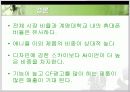 [무역통계 최종발표] 이동전화 시장 점유율 - 전체시장 점유율과 계명대학생의 비율 24페이지