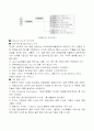 여행사의 조직구조와 판매촉진 전략 5페이지