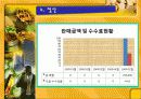 사업계획서(네비게이션) - 내비(네비)가 떴다 6페이지