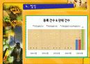 사업계획서(네비게이션) - 내비(네비)가 떴다 7페이지