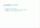 특별활동 교육과정 변천 13페이지