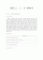 CIP 디자인 계획서 1페이지