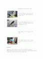 백합실험 2페이지
