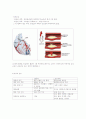 내과-컨퍼런스 : 심근경색 (STEMI) 2페이지