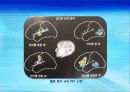 2강_ 행동의 생물학적, 진화론적 바탕(3장) 28페이지