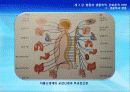 2강_ 행동의 생물학적, 진화론적 바탕(3장) 32페이지