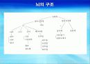 2강_ 행동의 생물학적, 진화론적 바탕(3장) 33페이지