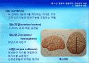 2강_ 행동의 생물학적, 진화론적 바탕(3장) 38페이지