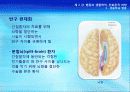 2강_ 행동의 생물학적, 진화론적 바탕(3장) 42페이지