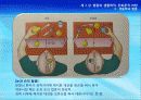 2강_ 행동의 생물학적, 진화론적 바탕(3장) 43페이지