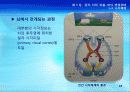 3강_ 감각,지각 and 마음,의식,변경상태(4,5장) 24페이지