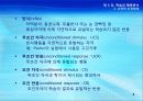 4강_ 학습과 행동분석(6장) 9페이지
