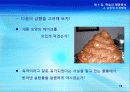 4강_ 학습과 행동분석(6장) 19페이지